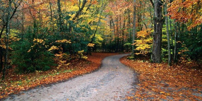 1920x1080 Cataloochee Cove Great Smoky Mountains National Park North