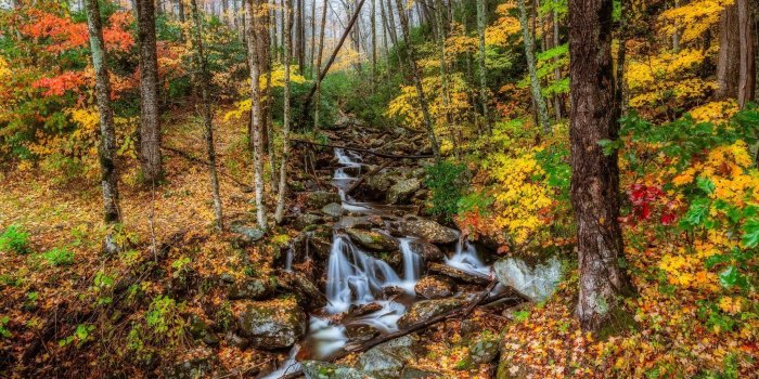 2048x1365 Stream, Wallpaper, Rivers, Great, Smoky, Usa, Natureparks,HD