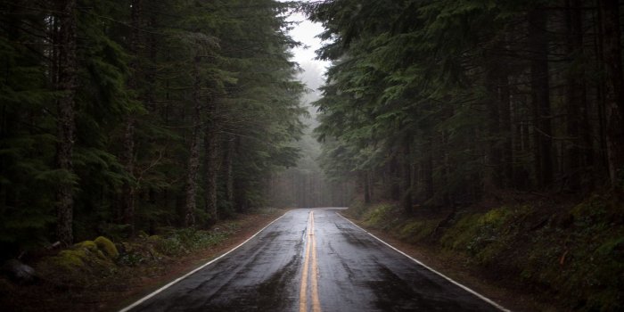 1920x1200 Nature Rain Wallpaper (60+ pictures)