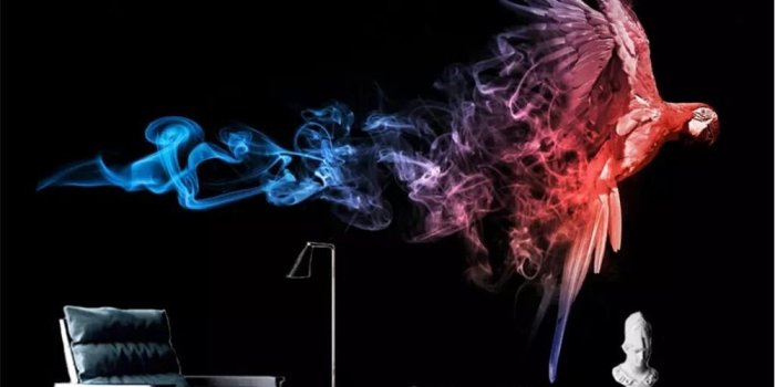1000x800 Beibehang wallpaper Nordic abstract art smoke parrot animal living