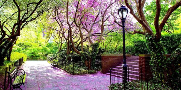 1920x1200 Spring Scenes Wallpapers - Top Free Spring Scenes Backgrounds