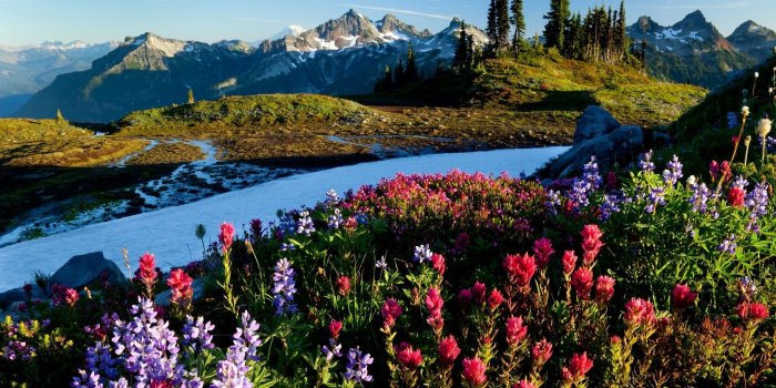 1920x1080 Download Spring Scenery Nature Iphone Ipad Wallpaper 1920x1080