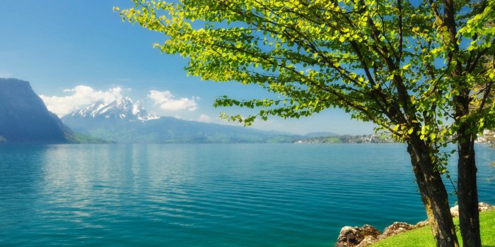 2560x1600 Beautiful Spring Scenery (2560x1600) : wallpaper