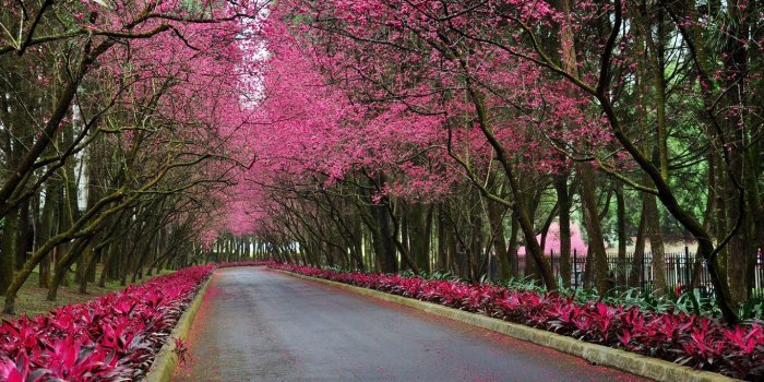 1366x768 Beautiful spring scenery wallpapers – Free full hd wallpapers for