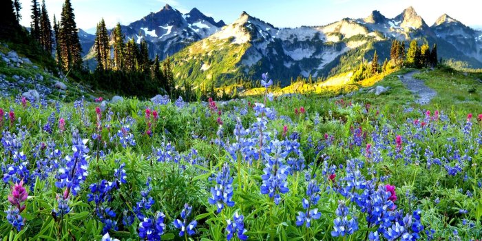 2560x1600 Spring Landscape Wallpapers - Top Free Spring Landscape