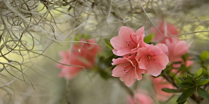 1920x1200 Beautiful Spring Scenes Wallpaper - Picserio.com
