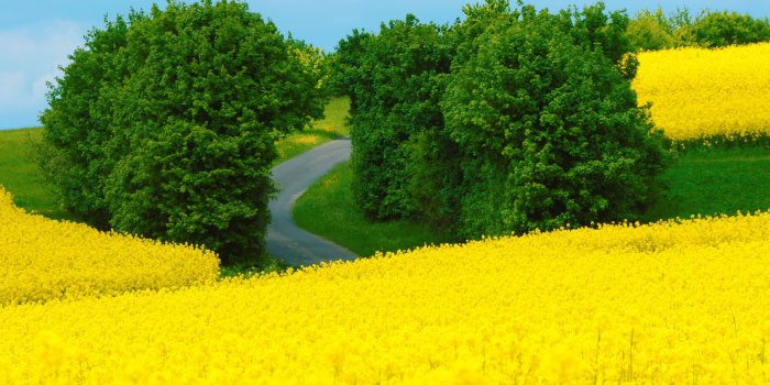 3840x2400 Beautiful Spring Landscape Ultra HD Desktop Background Wallpaper