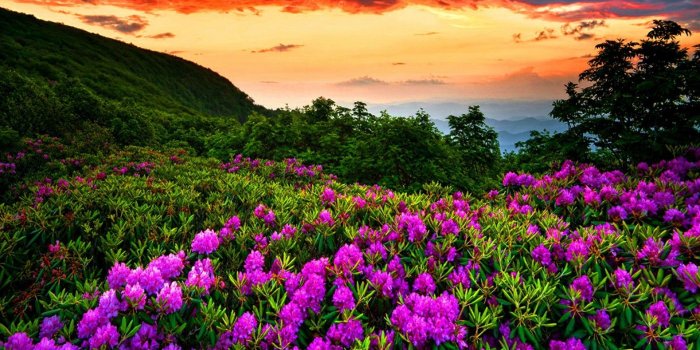 1920x1080 Wallpaper Spring Nature Scenes (58+ images)