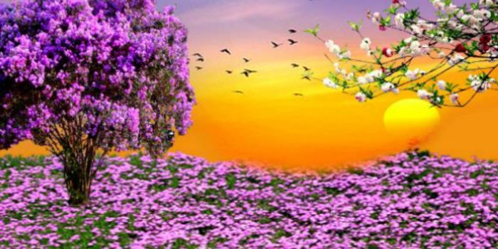 2560x1600 Desktop Wallpaper Spring Scenes ·① WallpaperTag