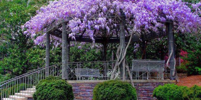 1024x768 29487 spring scenery desktop wallpaper