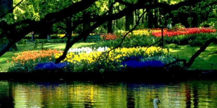 1024x768 Free Desktop Wallpapers Spring Scenes