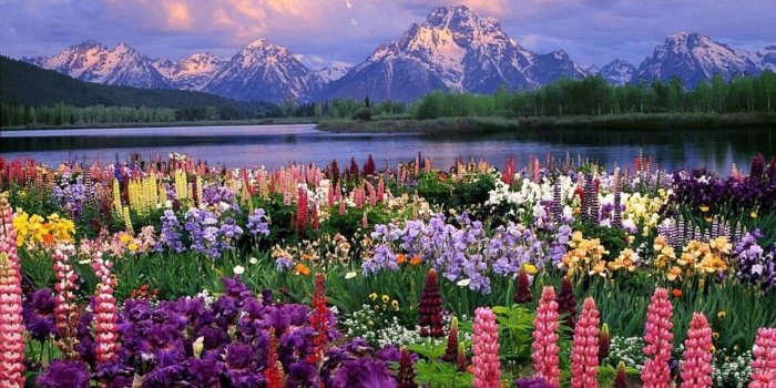 1920x1080 83+ Springtime Desktop Wallpapers on WallpaperPlay