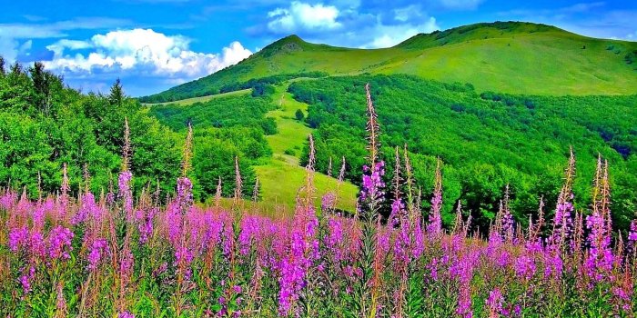 1920x1080 Landscape Spring Field Beautiful Flowers Hills Grass Clouds