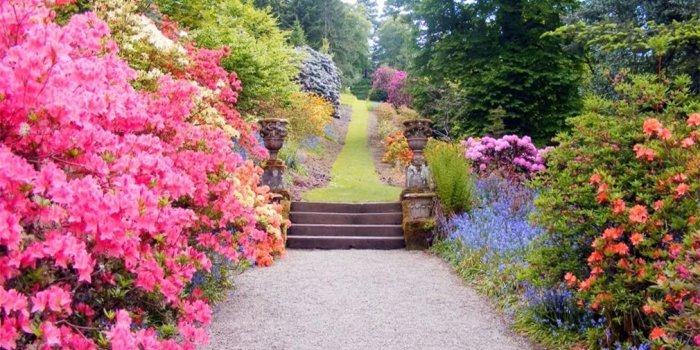 1010x808 Amazon.com : AOFOTO 10x8ft Beautiful Spring Flowers Photography