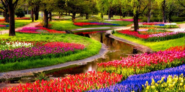 1324x828 Beautiful Tulip Garden View Wallpaper | Wallpapers Galery