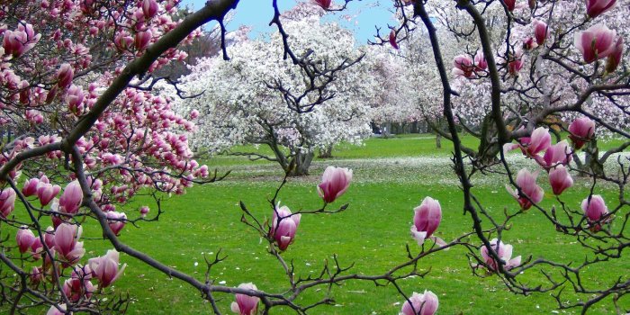 2240x1702 Spring Scenes Wallpapers - Top Free Spring Scenes Backgrounds