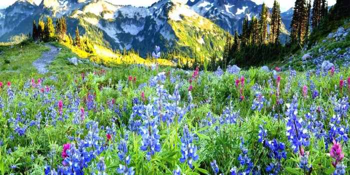 1600x1200 Spring Landscape wallpapers - Crazy Frankenstein