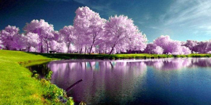 1366x768 Free download beautiful spring nature source http bigbackground