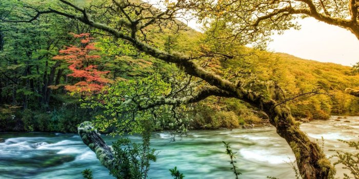 1920x1200 Beautiful HDR Spring Landscape - Android wallpapers