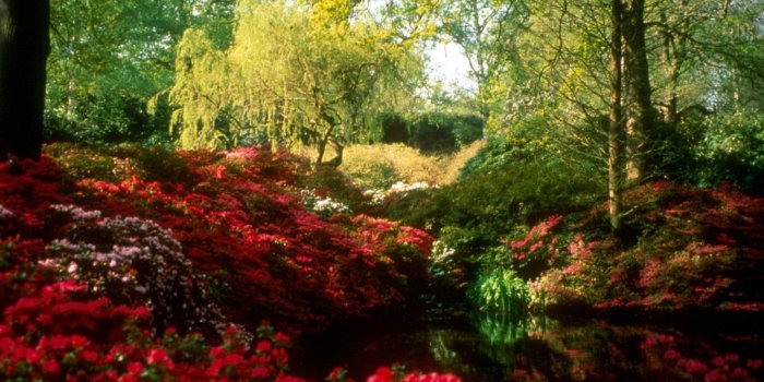 1440x900 spring+scenes | Beautiful Spring Scenes | Spring pictures