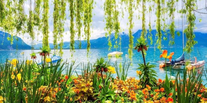 1280x800 Spring Spring Lake Desktop Backgrounds (#930897) - HD Wallpaper