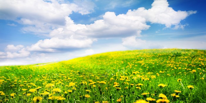 6810x4256 Beautiful Spring Landscape In Scotland Wallpaper Hd 70421