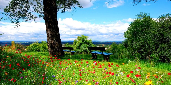 1920x1200 A Beautiful Spring Day wallpaper | nature and landscape