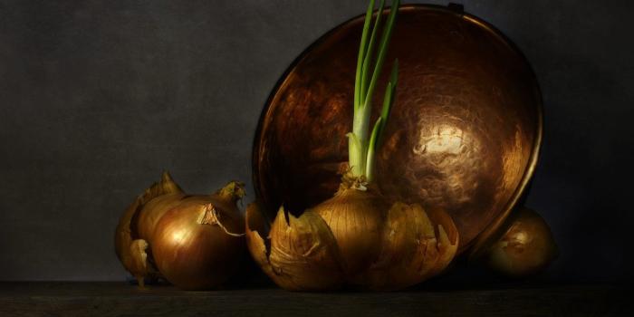 1332x850 Wallpaper the dark background, bow, dishes, bowl, husk, copper