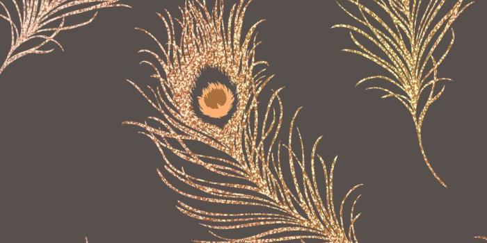 976x1000 Dark Brown and Copper Glitter Peacock Feather Wallpaper DL40799