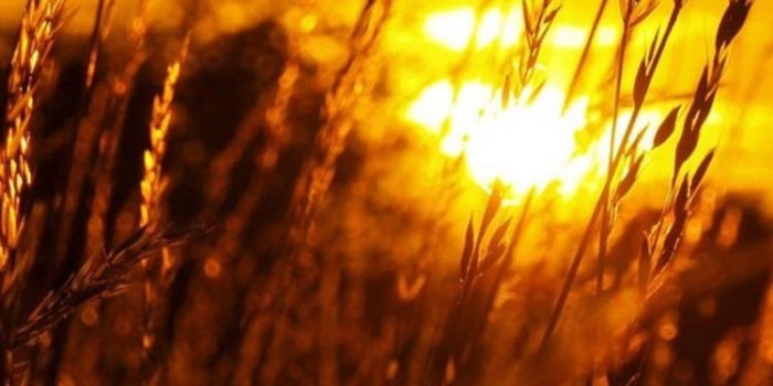 750x1334 Free download Sunset LG G2 Wallpapers HD 87 LG G2 Wallpapers LG