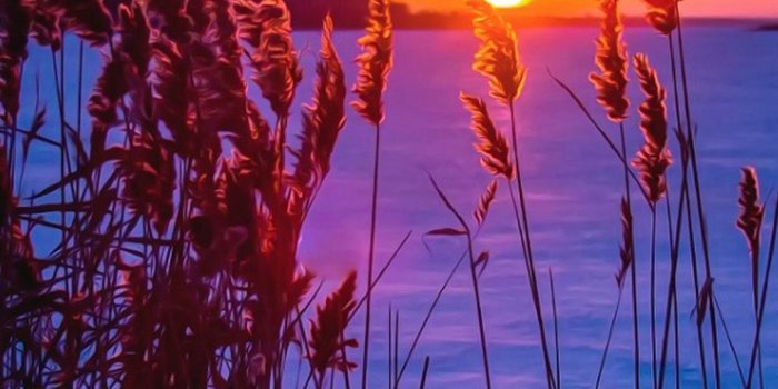 1080x1920 Winter Sunset Snow iPhone 8 Wallpapers Free Download
