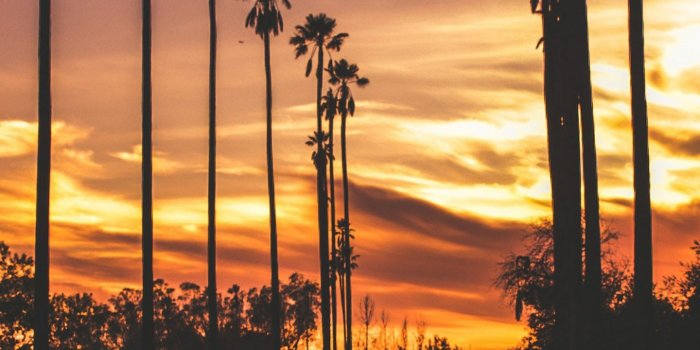 1440x3120 Sunset Road Landscape Scenery 4K Wallpaper #170