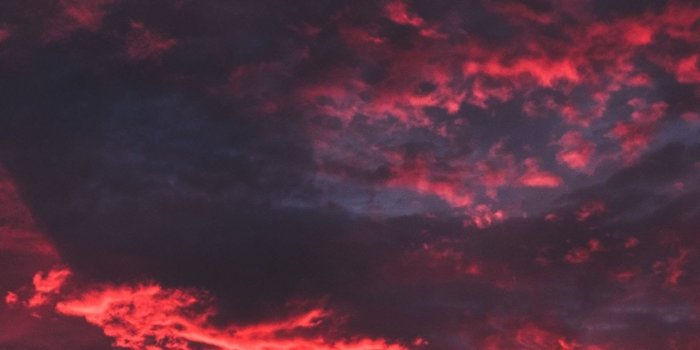 1440x2880 Download 1440x2880 wallpaper colorful, clouds, sunset, dark, tree