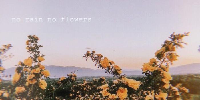 736x1308 HD VSCO Wallpapers - Top Free HD VSCO Backgrounds - WallpaperAccess