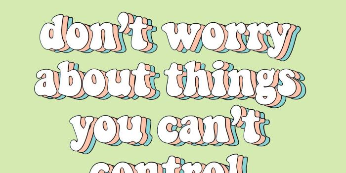 1536x2048 Green VSCO Wallpapers