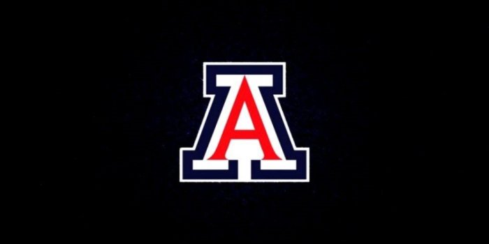 972x931 University Of Arizona Wildcats - 972x931 Wallpaper - Ecopetit.cat