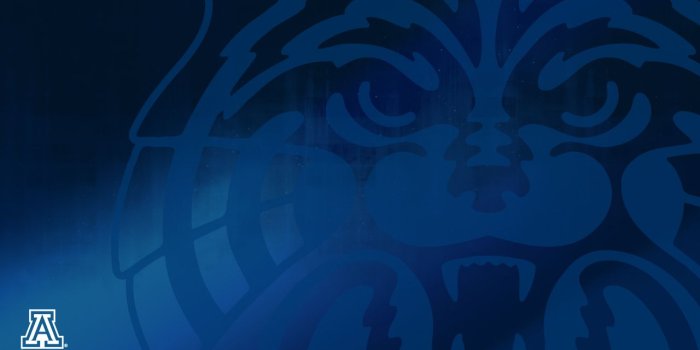 1280x720 Arizona Wildcats Logo Wallpaper | Arizona wildcats logo, Wild cats