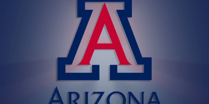 744x1392 Arizona Wildcats Logo Wallpaper #5A9NM59, 35.67 Kb - Picserio.com