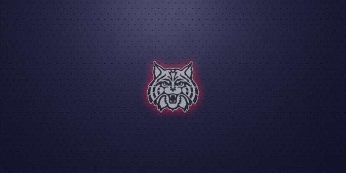 1600x1000 University of Arizona Wallpapers - Top Free University of Arizona