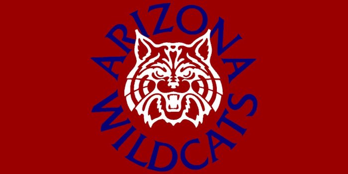 1024x768 49+] University of Arizona Wildcats Wallpaper on WallpaperSafari