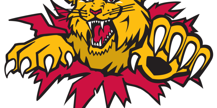 1280x916 Wildcats wallpapers, Comics, HQ Wildcats pictures | 4K Wallpapers 2019