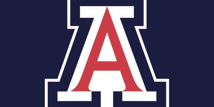 1920x1200 ARIZONA WILDCATS college football wallpaper | 1920x1200 | 597511