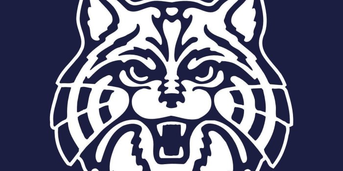 1365x1024 19240 arizona wildcats logo wallpaper
