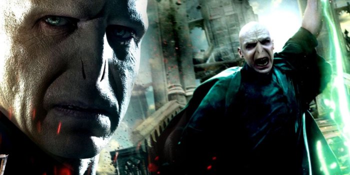 1280x1024 Free download Movies Wallpapers Voldemort [1680x1050] for your