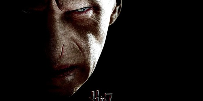1203x931 Lord Voldemort Wallpapers | Full HD Wallpapers