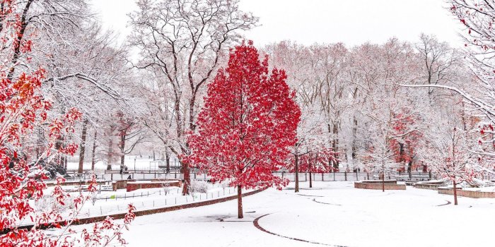 1920x1080 Winter Wallpaper Hd 64 Best Free Winter Wallpaper Hd Backgrounds