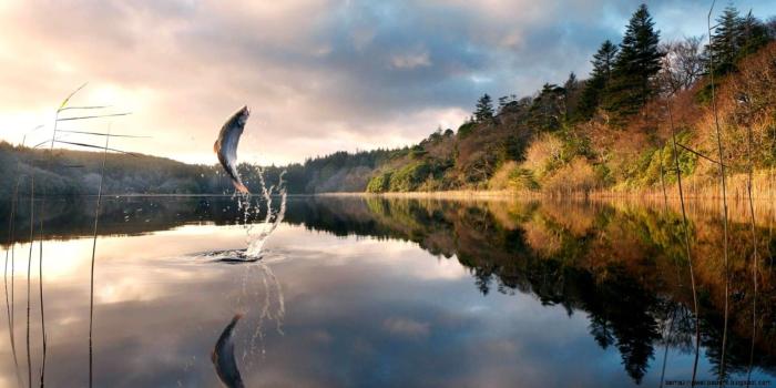 1600x806 Lake Fishing Wallpaper | Amazing Wallpapers