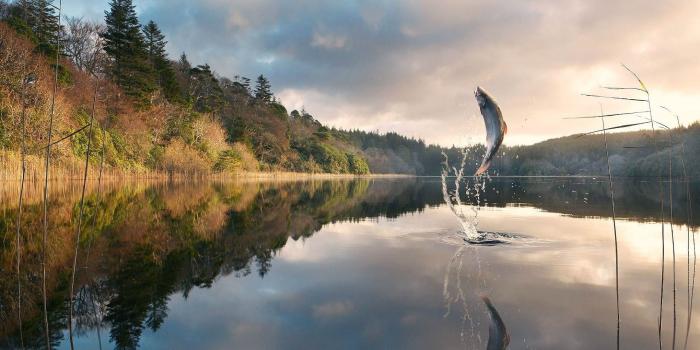 2560x1440 art, Artwork, Photoshop, Manipulation, Fantasy, Photo, Artistic