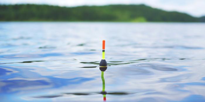 3752x2506 Fishing float in a lake HD Wallpaper | Background Image