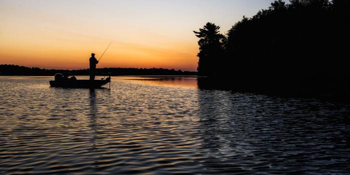 1856x1161 Celebrating Opening Day with Free Desktop Wallpaper Download